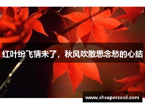 红叶纷飞情未了，秋风吹散思念愁的心结